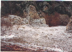 Az Flood
