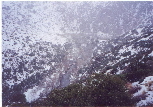 snow 10