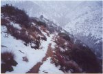 snow 11