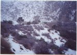 snow 12