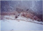 snow 16
