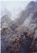 snow 20