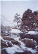 snow 21