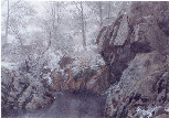 snow 22