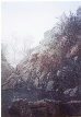 snow 26