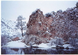 snow 29