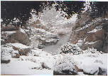 snow 30