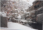 snow 31