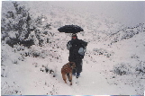 snow 30