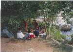Trees