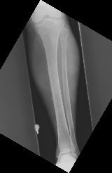 legap.jpg (5274 bytes)