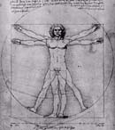 Study of Human Body by Leonardo DiVinci