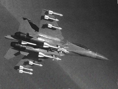 Su-30 armed with 10 AAMs