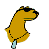 MS Links