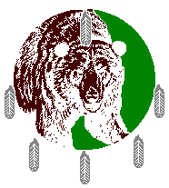 [bear medicine]
