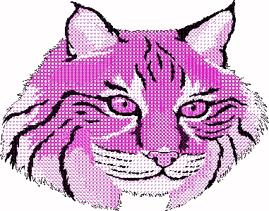 [bobcat]
