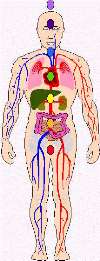Chakras