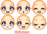 These are some different heads that you can use.
