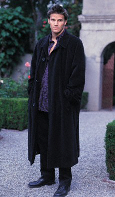 Scroll down for more pix of David Boreanaz!!