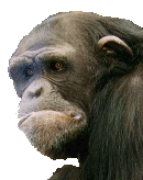 logo2.gif