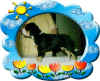 samsonpuppy3.jpg (84162 bytes)