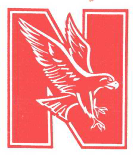 Naperville Central High School  Homework & Help Projects