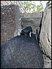 mck0008.jpg
