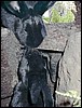 mck0010.jpg