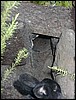 mck0011.jpg