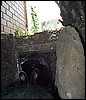 mck0022.jpg