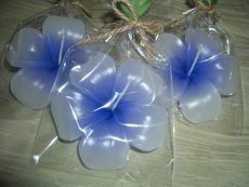 Blue Frangipani