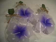 Purple Frangipani