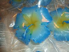 Blue Hibiscus