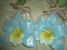 Blue Orchid