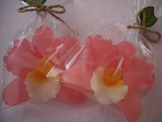 Light Pink Orchid