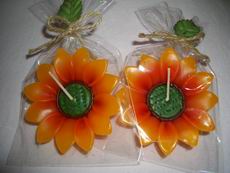 Yellow/Orange Sunflower