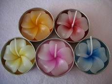Mix colour Frangipani Tea light