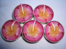 Pink Hibiscus Tea light