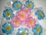 Hibiscus floating candles