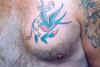 Matt43.jpg (525788 bytes)