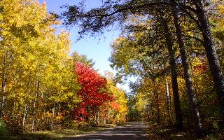 Fall at Mike's Lake House