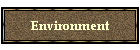 Environment