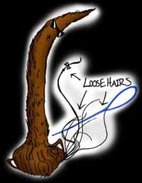 a dreadlock with loose hairs