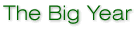 The Big Year