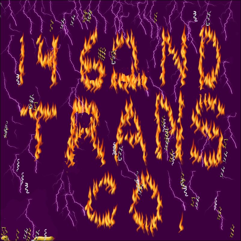 1462backflame