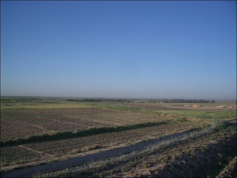 IMGP0401