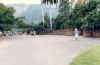Hope Gardens