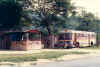 Jolly Bus