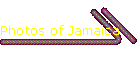Photos of Jamaica