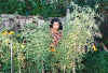 Mom In The Garden